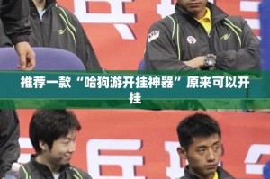 推荐一款“哈狗游开挂神器”原来可以开挂