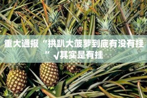 重大通报“拱趴大菠萝到底有没有挂”√其实是有挂