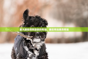 重大通报哈狗游真的有挂，确实有挂果然有挂