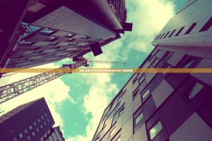 重磅.来袭万顺究竟有没有透视挂@太坑了真的有挂