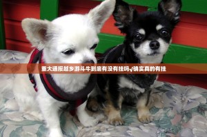 重大通报越乡游斗牛到底有没有挂吗√确实真的有挂