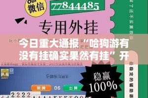 今日重大通报“哈狗游有没有挂确实果然有挂”开挂神器