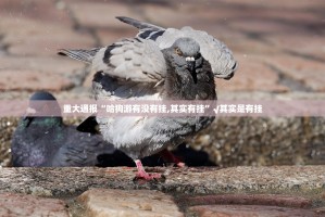 今日重大通报闲逸游戏究竟有没有挂√曝光透视猫腻