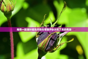 推荐一款湘叶娱乐开挂在哪里开@太坑了真的有挂