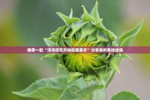 重磅.来袭全民雀神怎么开挂！详细开挂教程其实有挂-知乎