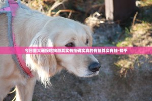 重磅.来袭大玩家十三水如何开挂！详细开挂教程√确实真的有挂