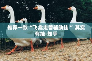 推荐一款“飞禽走兽辅助挂 ”其实有挂-知乎