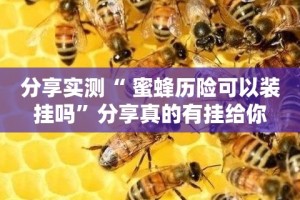 分享实测“ 蜜蜂历险可以装挂吗”分享真的有挂给你