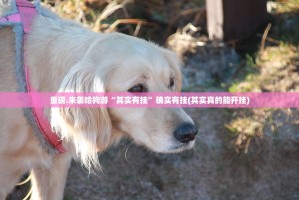 重磅.来袭娱友乐真的确实有挂!其实真的确实有挂