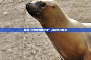 推荐一款哈狗游挂软件”√曝光透视猫腻