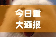 重大通报四海互娱怎么开挂呢√曝光透视猫腻