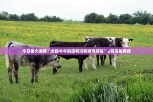 重磅.来袭中至窝龙透视软件2025（果然有挂）
