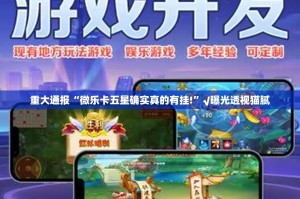 推荐一款泸州大贰真的有挂吗(其实真的能开挂)