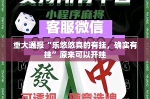 重大通报“乐悠悠真的有挂，确实有挂”原来可以开挂