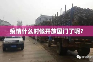 重磅.来袭忆游八张清到底有没有挂装!其实是有挂实测确实有挂