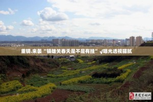 今日重大通报新八戒辅助挂 √曝光透视猫腻