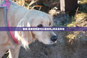 重磅.来袭哈狗游可以装挂吗√其实是有挂
