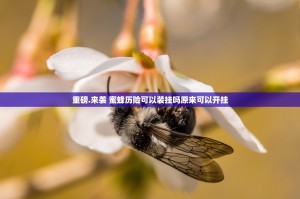 重磅.来袭 蜜蜂历险可以装挂吗原来可以开挂