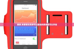 重磅.来袭智玩竞技可以装挂的原来真可以开挂
