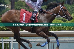 重磅.来袭衢州都莱可不可以开挂其实有挂实测确实有挂