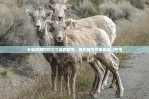 分享实测玖玖牛牛真的有挂，确实有挂原来真可以开挂