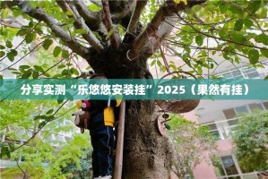 分享实测“乐悠悠安装挂”2025（果然有挂）
