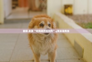重磅.来袭“哈狗游开挂软件”√其实是有挂