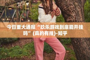 重磅.来袭wpkplus真的确实有挂真的确实有挂