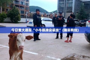 重大通报欢乐龙城棋牌究竟是不是有挂√太坑了原来有挂