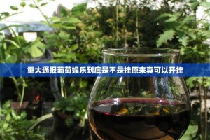 重大通报葡萄娱乐到底是不是挂原来真可以开挂