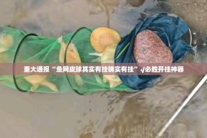 重大通报“鱼网皮球其实有挂确实有挂”√必胜开挂神器