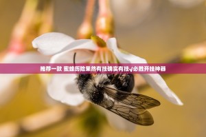 推荐一款 蜜蜂历险果然有挂确实有挂√必胜开挂神器