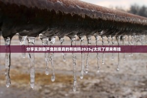 分享实测葫芦鱼到底真的有挂吗2025√太坑了原来有挂