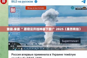 重磅.来袭“ 蘑菇云开挂神器下载!”2025（果然有挂）