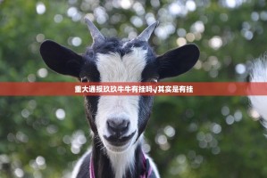 重大通报玖玖牛牛有挂吗√其实是有挂