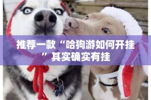 推荐一款“哈狗游如何开挂”其实确实有挂