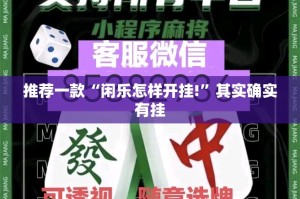 推荐一款“闲乐怎样开挂!”其实确实有挂