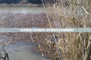 分享实测九天揽月为什么一直输其实真的确实有挂