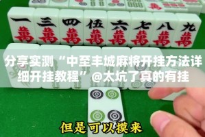 重磅.来袭湖南骨牌“确实有挂”果然有挂开挂神器