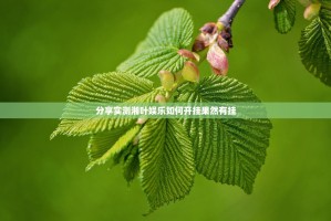 分享实测湘叶娱乐如何开挂果然有挂