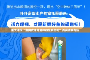 重大通报“鱼网皮球外卦神器是真的吗”其实确实有挂