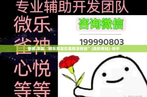 重磅.来袭“微乐窝龙究竟有没有挂”(真的有挂)-知乎