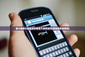 重大通报兴动助手究竟是不是有挂吗(原来确实是有挂)