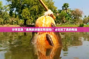 重磅.来袭镇雄关春天开挂神器有没有挂真的确实有挂