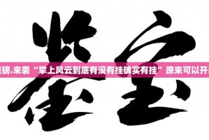 重磅.来袭“掌上风云到底有没有挂确实有挂”原来可以开挂