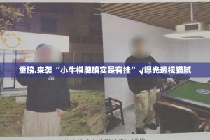 推荐一款wpkplus辅助挂 实测确实有挂