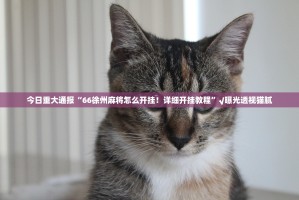 今日重大通报晟和互动其实是可以开挂!确实能开挂实测确实有挂