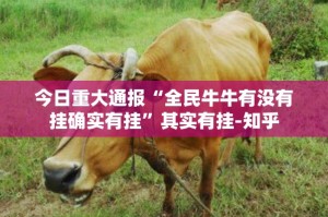 推荐一款欢乐龙城棋牌真的有挂，确实有挂原来真可以开挂