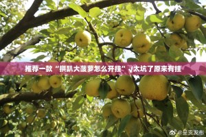 分享实测博雅曲靖棋牌到底真的有挂吗2025(真的有挂)-知乎