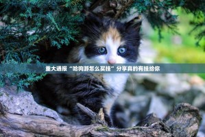 今日重大通报阿拉游戏中心外卦神器下载安装√必胜开挂神器
